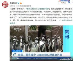 【娱乐】泰国企鹅出现“心理健康”问题 因疫情影响游客减少