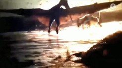 【单机】《侏罗纪世界3》片段泄露 南方巨兽龙vs霸王龙